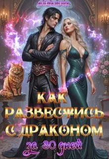Обложка: Как развестись с драконом за 30 дней