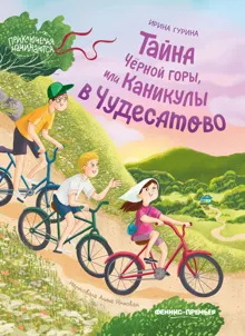 Обложка: Тайна Черной горы, или Каникулы в Чудесатово