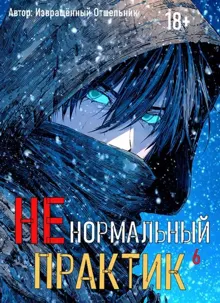 Обложка: Ненормальный практик 6