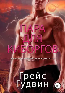 Обложка: Пара для киборгов
