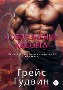 Обложка: Соблазнение киборга