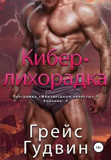 Обложка: Кибер-лихорадка