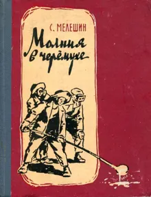 Обложка: Молния в черемухе