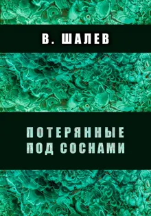 Обложка: Потерянные под соснами