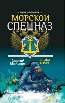Обложка: Звезда героя