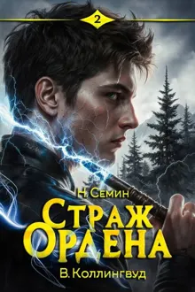 Обложка: Страж Ордена 2