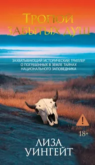 Обложка: Тропой забытых душ