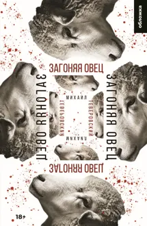 Обложка: Загоняя овец