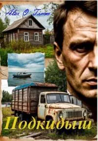 Обложка: Подкидыш