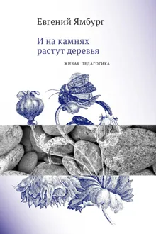 Обложка: И на камнях растут деревья. Живая педагогика