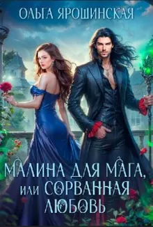 Обложка: Малина для мага, или Сорванная любовь