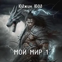 Обложка: Мой Мир 1