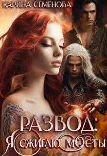 Обложка: Развод: я сжигаю мосты