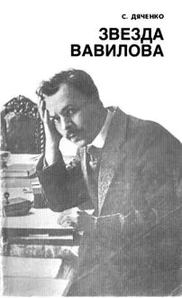 Обложка: Звезда Вавилова