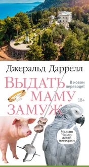 Обложка: Выдать маму замуж