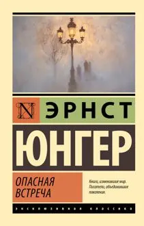 Обложка: Опасная встреча