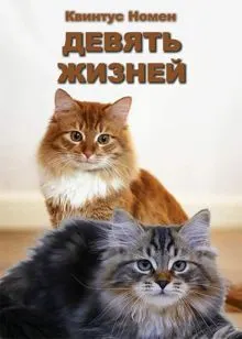 Обложка: Девять жизней