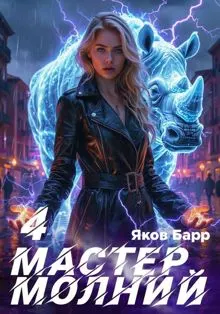 Обложка: Мастер молний. Книга IV