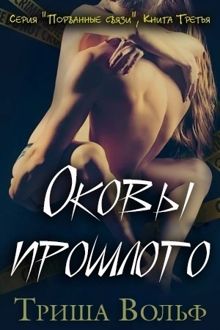 Обложка: Оковы прошлого. Книга 3