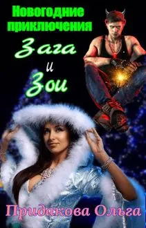 Обложка: Новогодние приключения Зага и зои