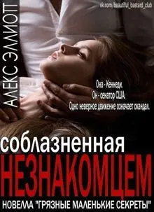 Обложка: Соблазненная незнакоцем