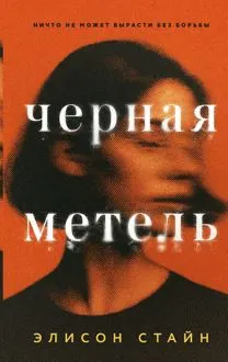 Обложка: Черная метель