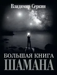 Обложка: Большая книга Шамана