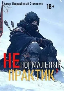 Обложка: Ненормальный практик 7