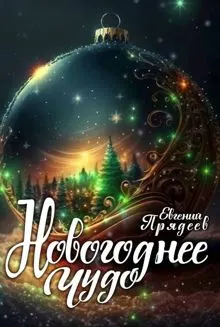 Обложка: Новогоднее чудо