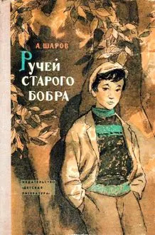 Обложка: Ручей старого бобра