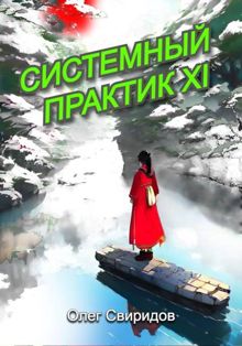 Обложка: Системный практик XI