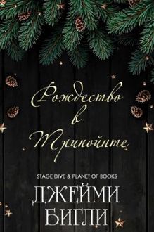 Обложка: Рождество в Трипойнте