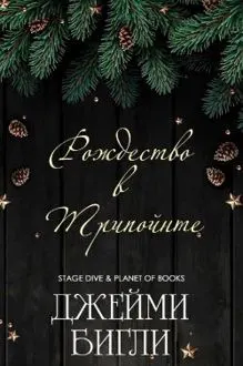 Обложка: Рождество в Трипойнте