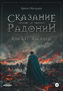 Обложка: Два князя