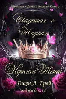 Обложка: Связанная с Падшим Королём Теней