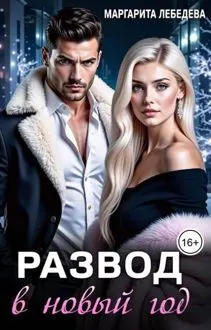 Обложка: Развод в новый год