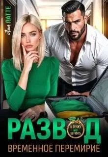 Обложка: Развод. Временное перемирие