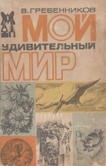 Обложка: Мой удивительный мир