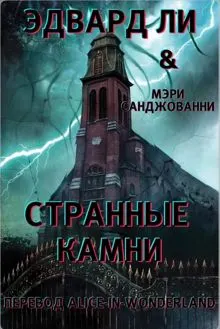 Обложка: Странные камни