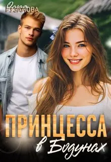 Обложка: Принцесса в Бодунах