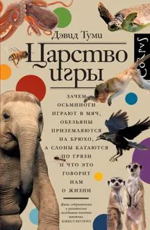 Обложка: Царство игры. Зачем осьминоги играют в мяч, обезьяны приземляются на брюхо, а слоны катаются по грязи и что это говорит нам о жизни