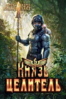 Обложка: Князь Целитель 5