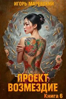Обложка: Проект: "Возмездие" Книга 6