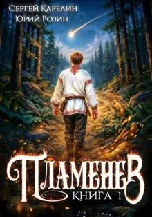 Обложка: Пламенев. Книга 1