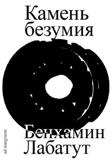 Обложка: Камень безумия