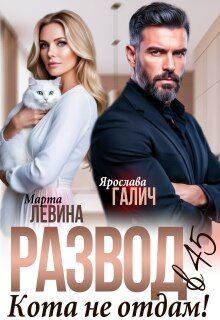 Обложка: Развод в 45. Кота не отдам!