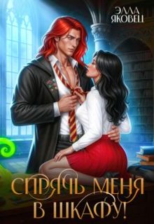 Обложка: Спрячь меня в шкафу!