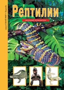 Обложка: Рептилии