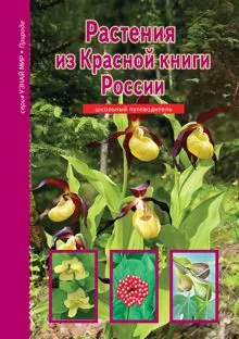 Обложка: Растения из Красной книги России