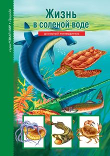 Обложка: Жизнь в соленой воде